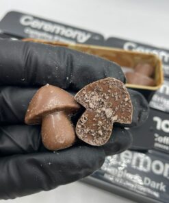 Ceremony mushroom chocolates Bar