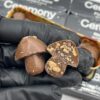 Ceremony Campfire S’more 5g Mushroom Chocolate Bar